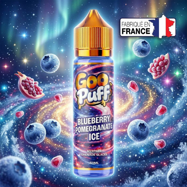 Blueberry Pomegranate Ice-Goo Puff – 50 ml